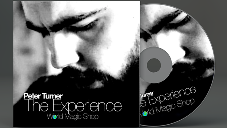 (image for) Experience by Peter Turner
